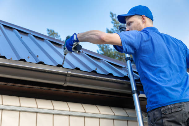 Best Roof Moss and Algae Removal  in Pecan Acres, TX