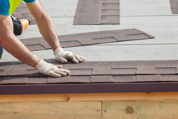 Best Asphalt Shingle Roofing  in Pecan Acres, TX